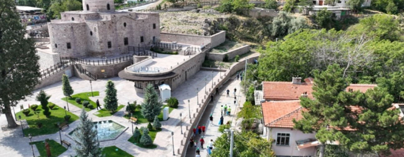 Sille Takes Steps for Nature