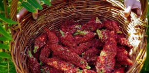 Konya Strengthens Rural Production with Subsidized Sumac Saplings