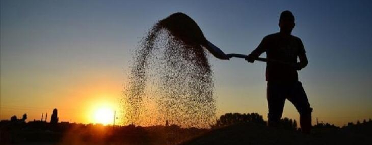 Sustainable Land Management and Climate Friendly Agriculture Project in Konya