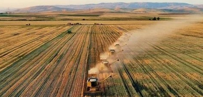 Konya Leads Turkey in Agricultural Land