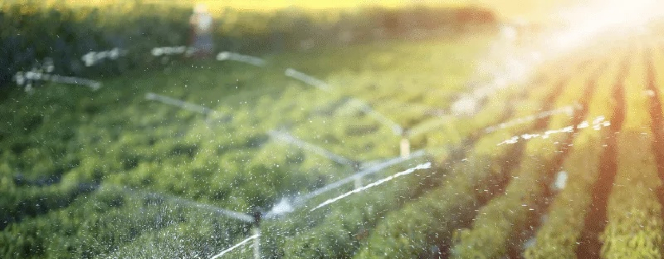 Wastewater Treatment Plant in Konya Supports Agricultural Irrigation