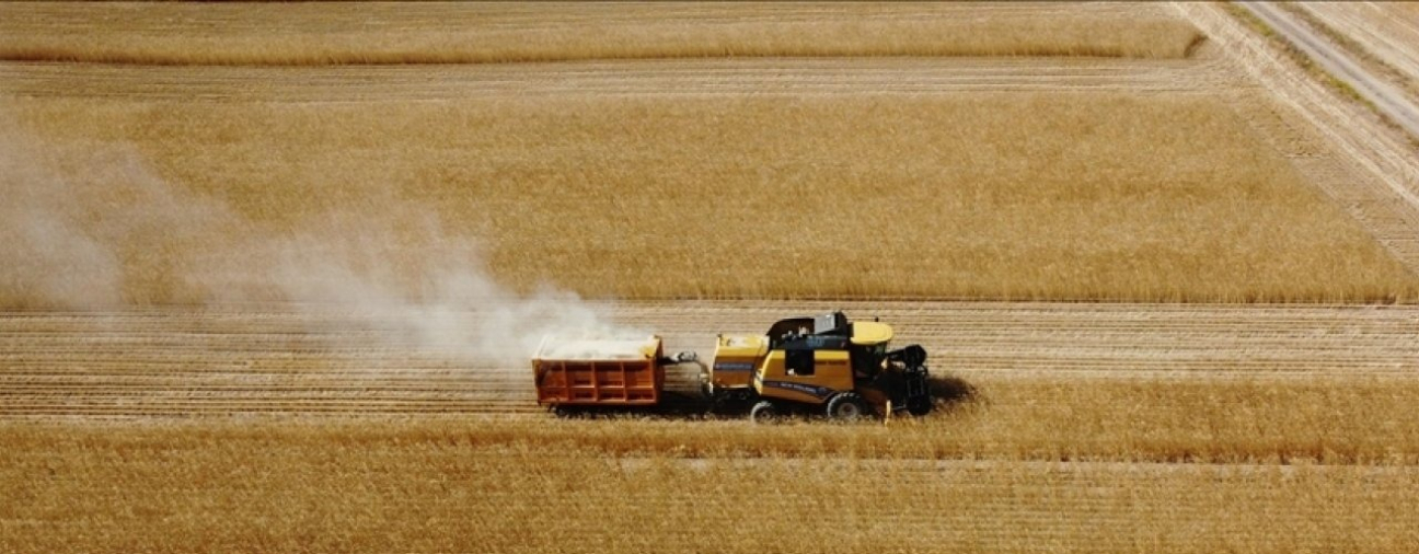 Konya Plain: The Insurance of Agricultural Production in Turkey