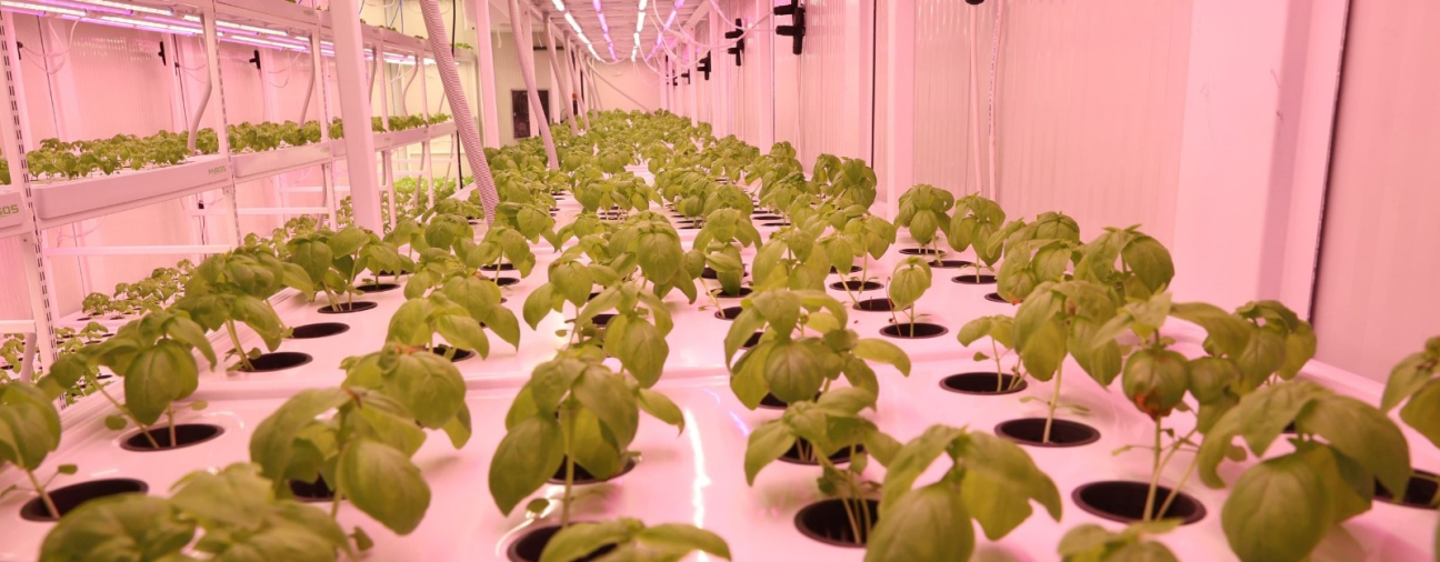 A New Approach to Farming in Konya