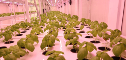 A New Approach to Farming in Konya