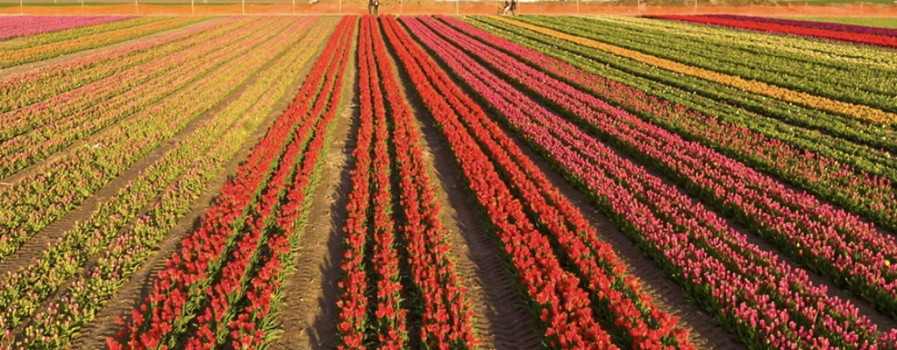 Great Spots to Capture Stunning Photos in Konya