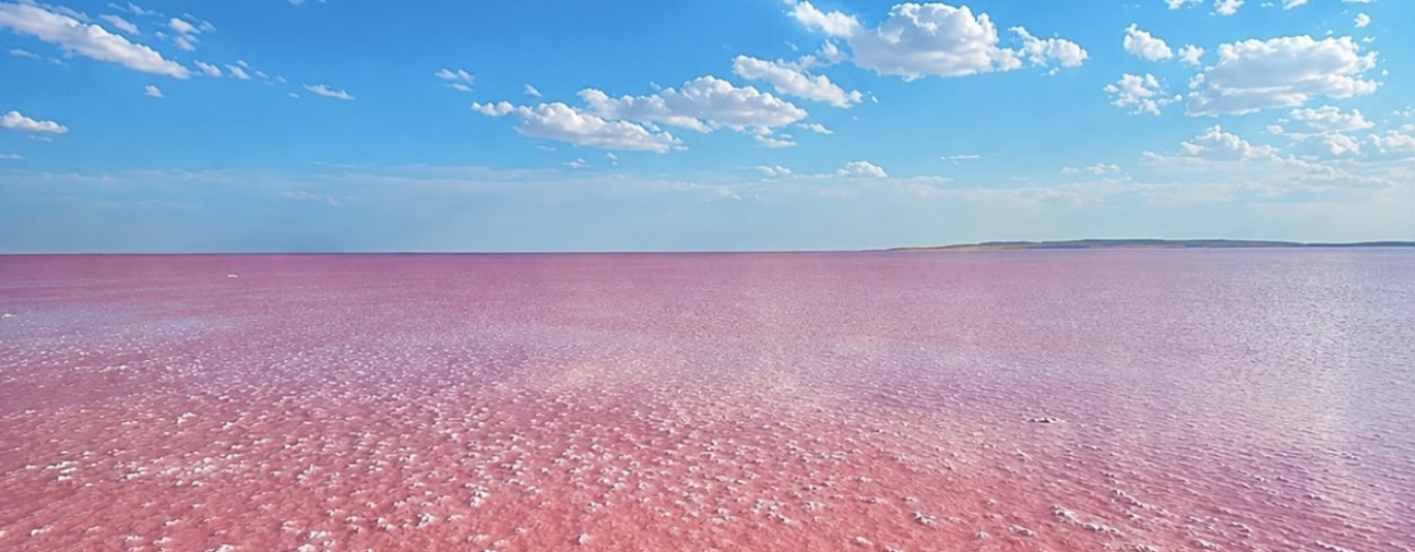 Lake Tuz Turns Pink in Summer