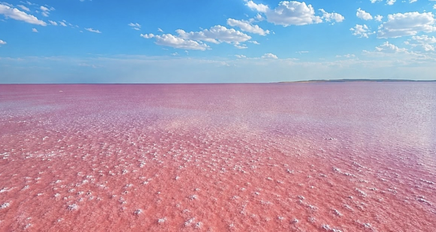Lake Tuz Turns Pink in Summer