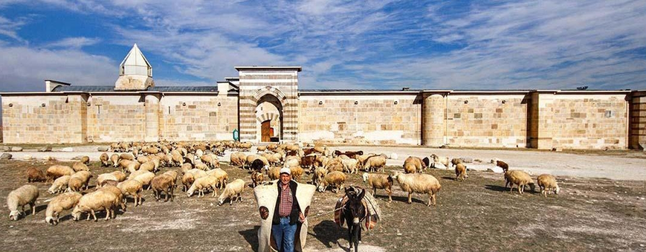 Zazadin Caravanserai A Historic Stop in Konya